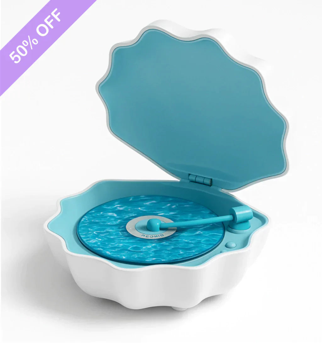 Lampe Décorative Coquillage | Éclairage d’Ambiance